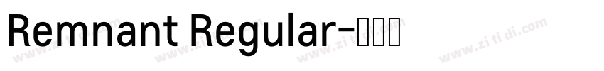 Remnant Regular字体转换